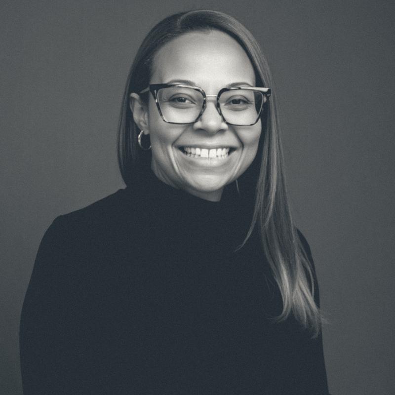 Maya, Microfirm Principal